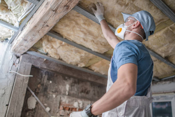 Best Insulation Maintenance and Repair in Brookville, NY